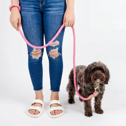 Braided Dog Leash