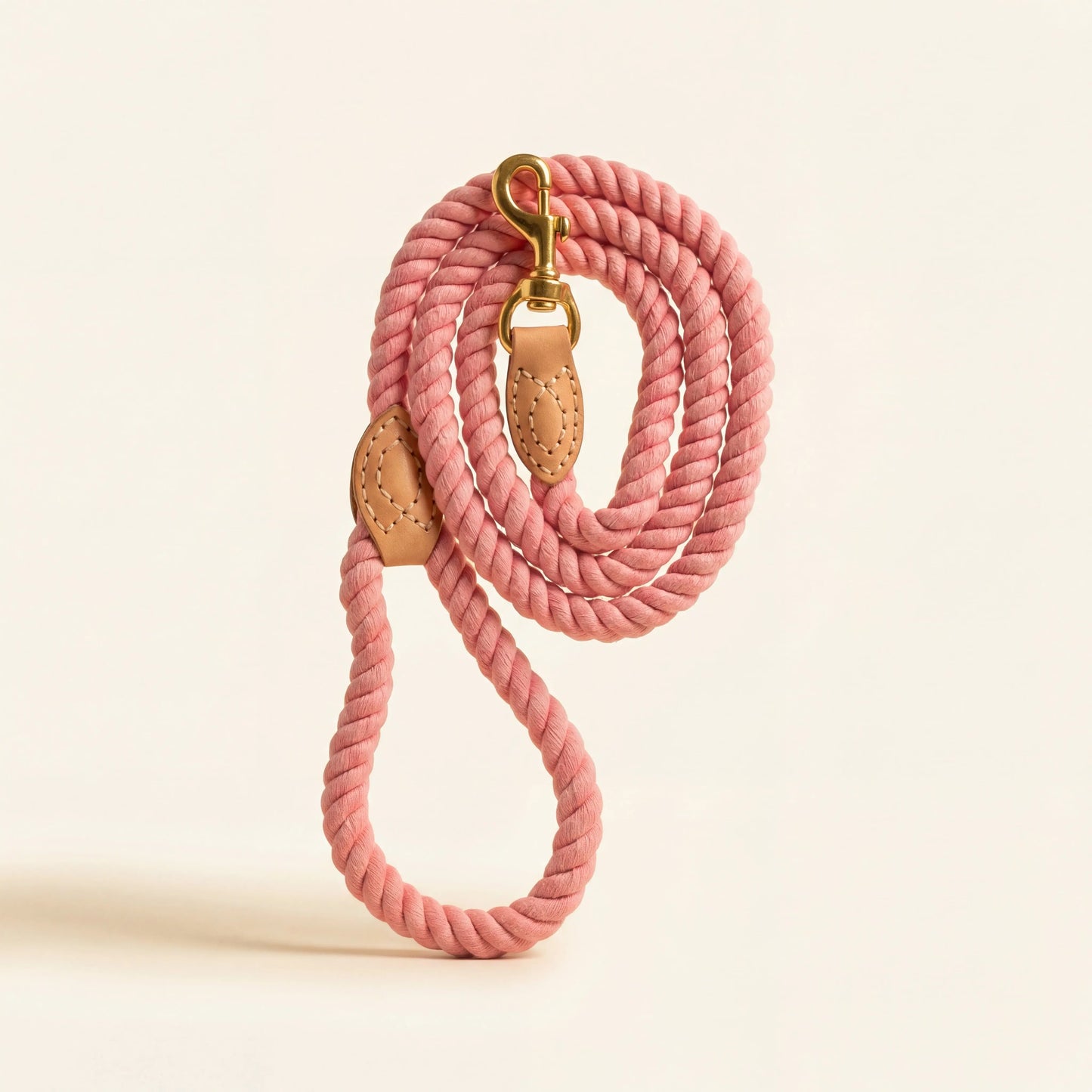 Braided Dog Leash
