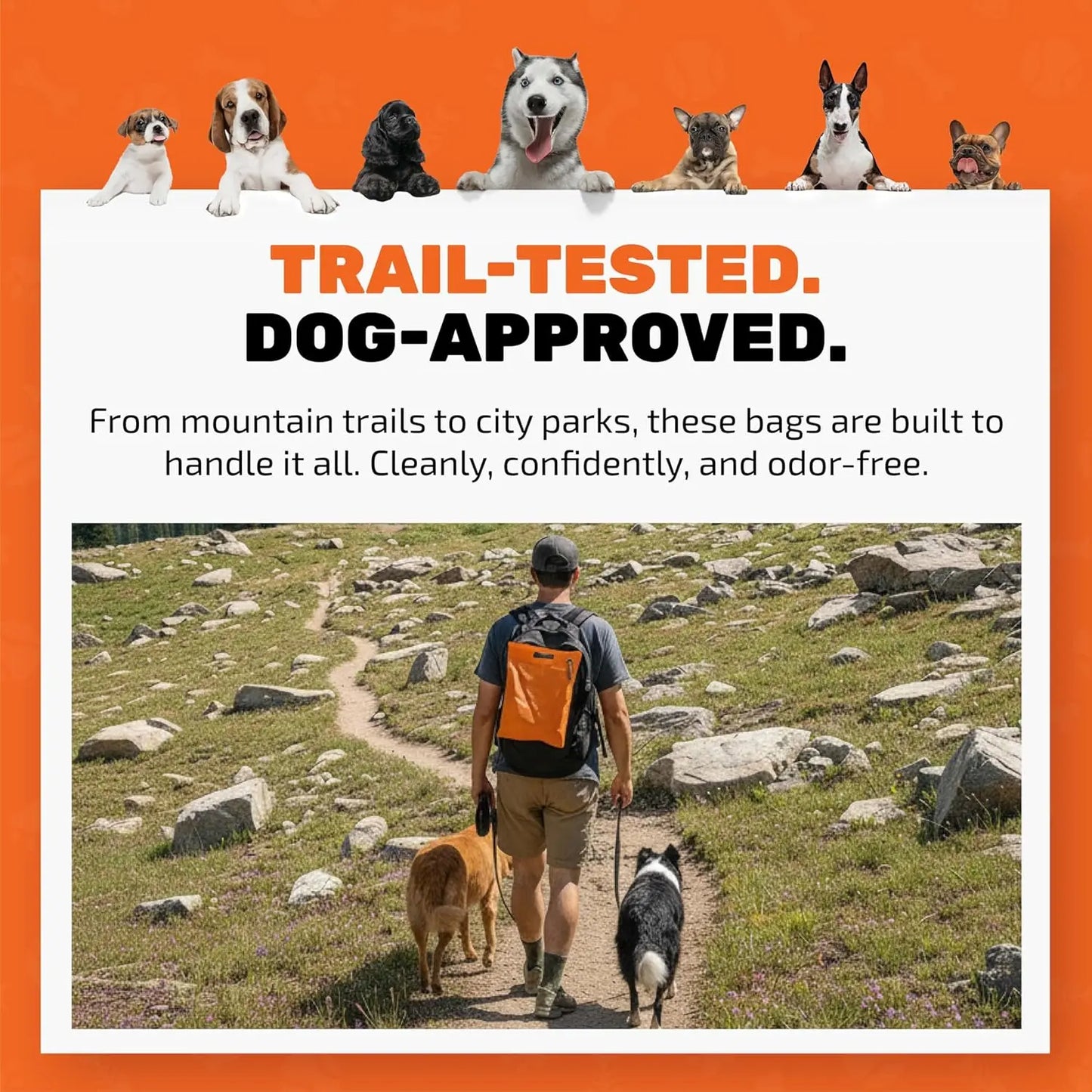 Cleanwaste Waggy Baggy, Adventure Ready Dog Waste Bags with Smell-Proof, Dual Bag System, with Convenient Carry Handle, 10Ct