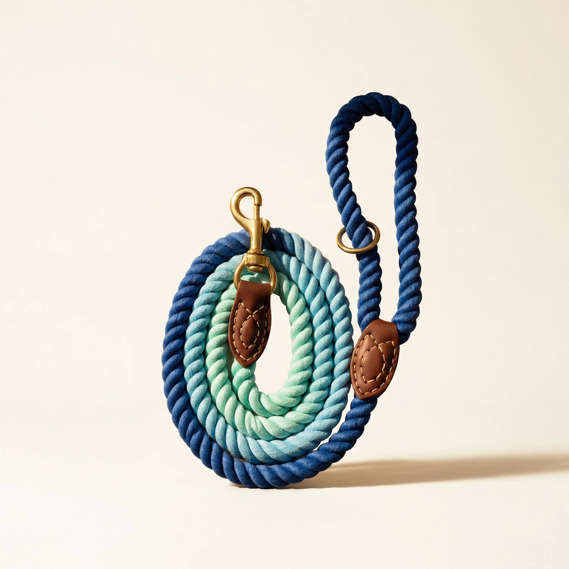 Braided Dog Leash