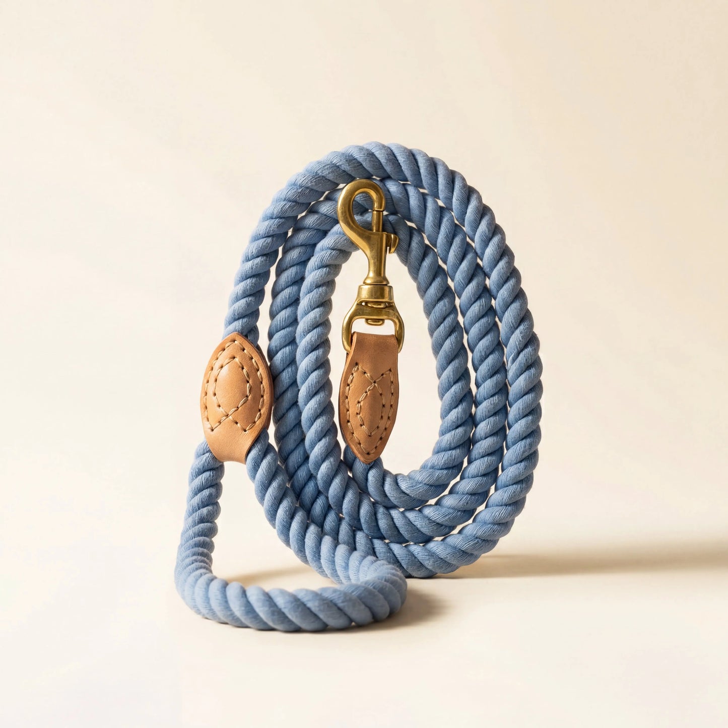 Braided Dog Leash