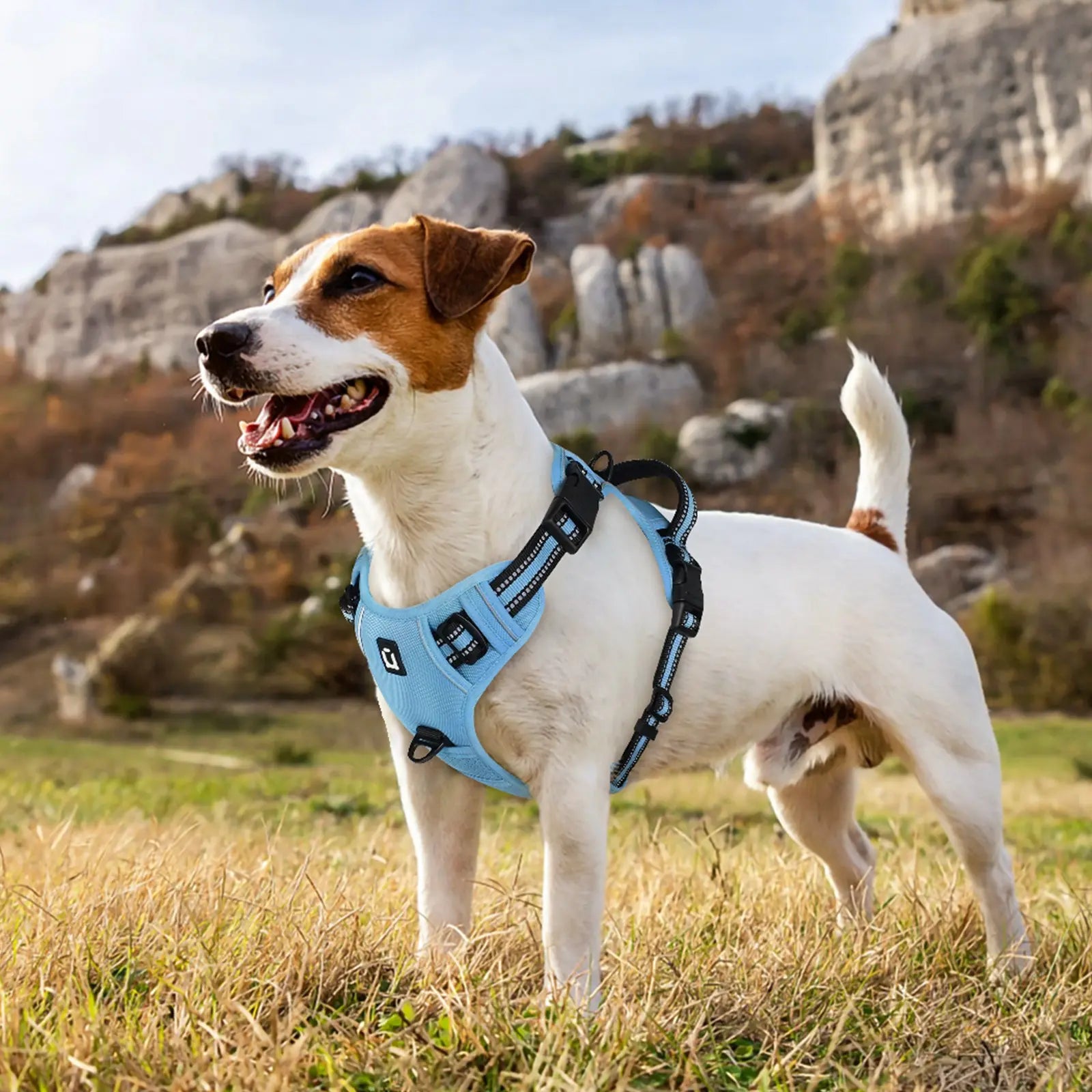 Dog Harness, Durable Reflective Harness, No-Pull Pet Harness with 2 Leash Clips, Adjustable Soft-Padded Dog Vest, Reflective No-Choke Oxford Pet Vest with Easy-Control Handle for Large Dogs