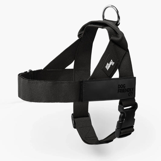 Dog Friendly Co. Harness - Easy to Fit No-Pull Design - Safe Secure and Comfortable - Ideal for All Dogs- Adjustable Straps for Perfect Fit - Chafe-Resistant Lightweight Straps